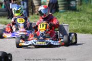 20110501_ales_agnus (2124)